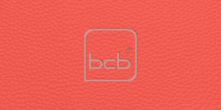 Farbmuster in RAL 2012 Lachsorange