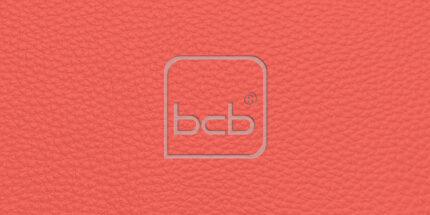 Farbmuster in RAL 3022 Lachsrot