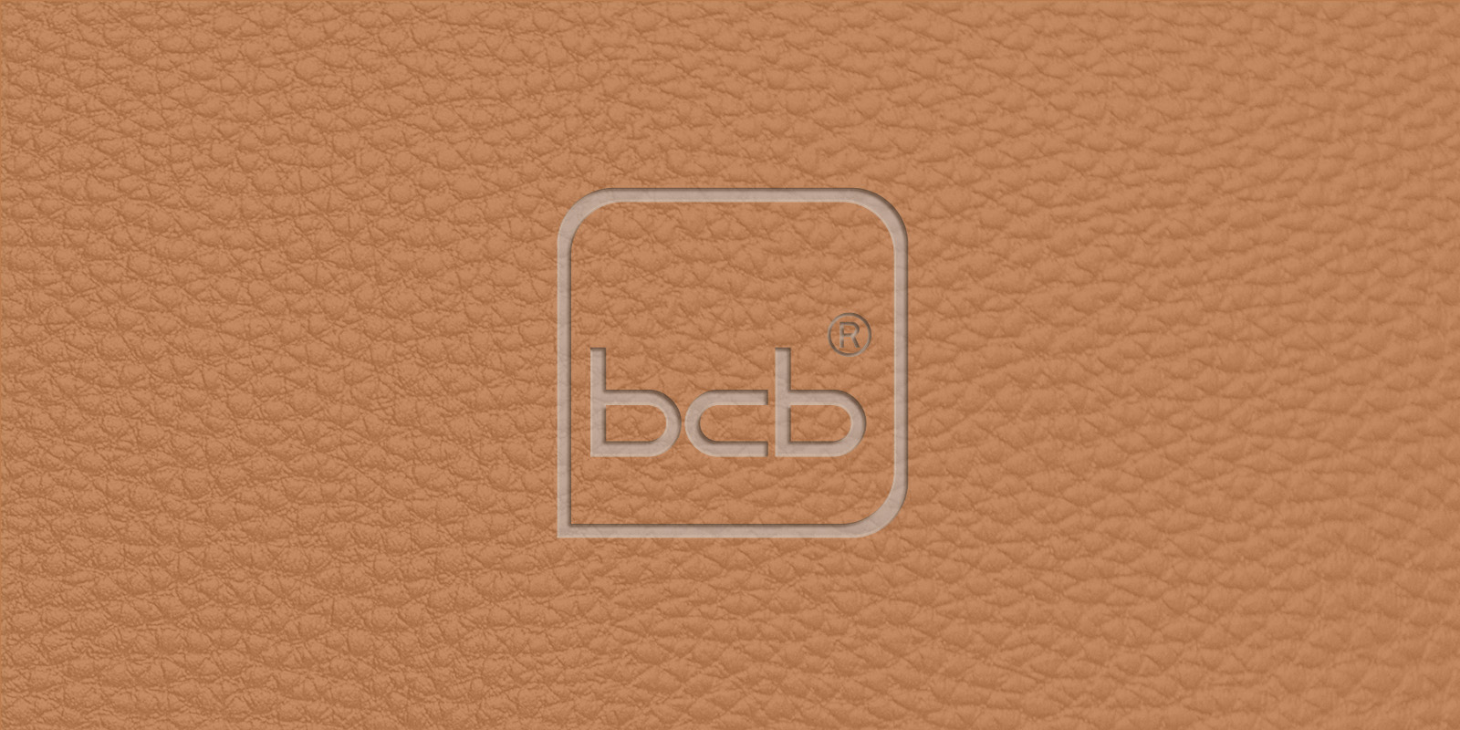ral-1011-braunbeige-ledermuster.jpg